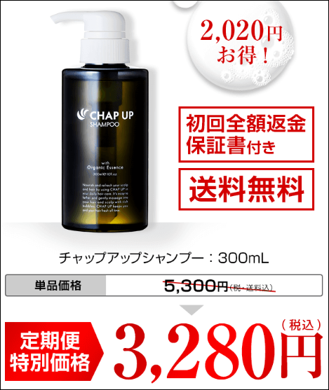 チャップアップ ウエルシア