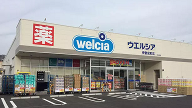 チャップアップ ウエルシア